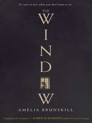 cover image of The Window
